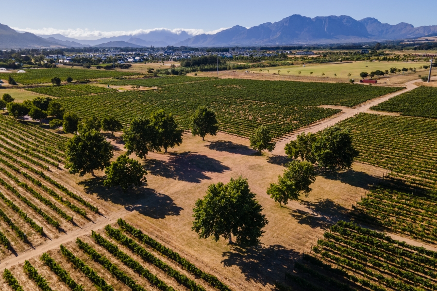 0 Bedroom Property for Sale in Val De Vie Estate Western Cape